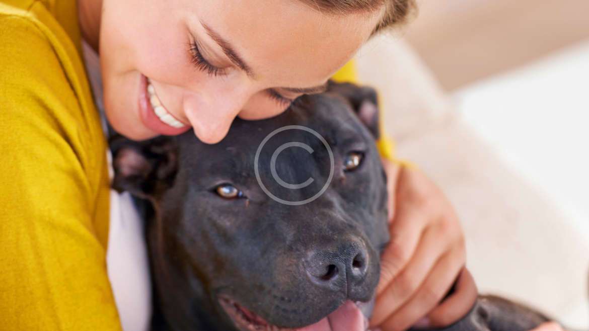 Kalp Kurdu: Tek Bir Isırık, Tek Bir Enfeksiyon Yeterli!