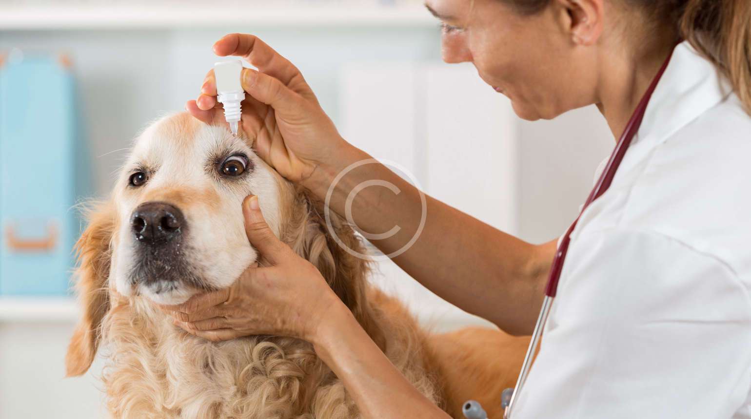 Aşılama ve Koruyucu Hekimlik