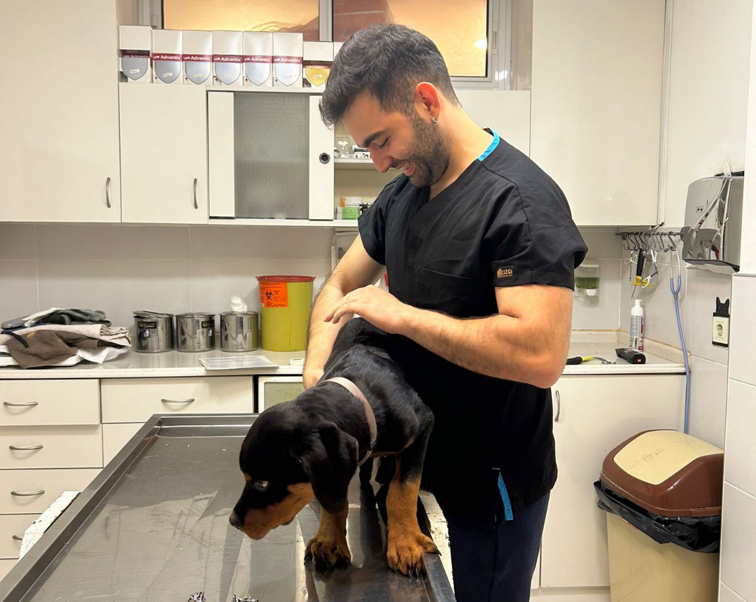 Cerrahi Müdahaleler